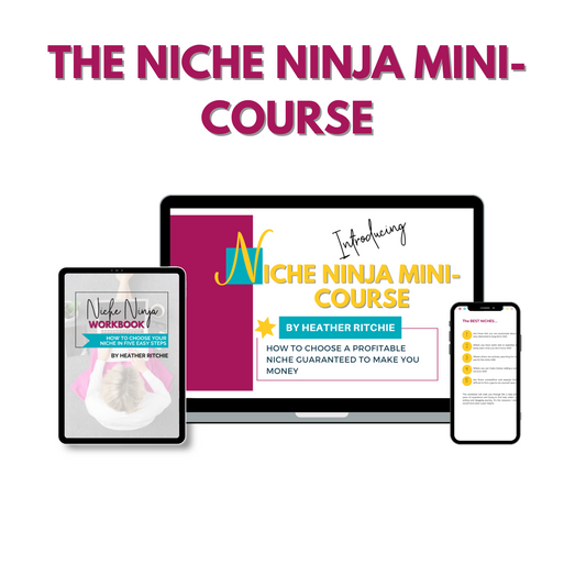 The Niche Ninja Mini-Course